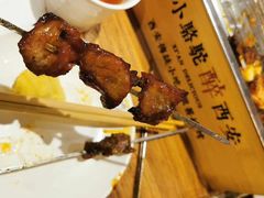 -福苗小骆驼烧烤(莲湖路店)