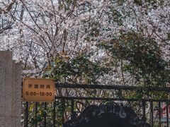 -徐家汇源景区-衡山公园