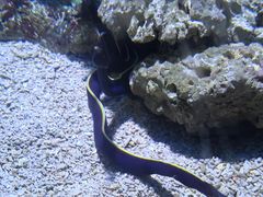 -大连老虎滩海洋公园