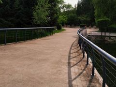 景点-长白岛森林公园