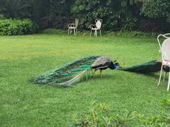 -J Create城市露营咖啡·简餐·宠物(上海动物园店)