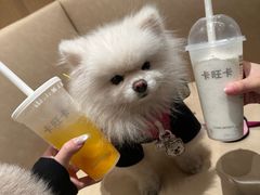 -卡旺卡(黄山银街店)