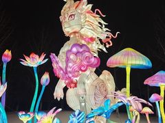 -武汉园博园(武汉自然博物馆)
