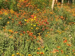 -宝瑞门钉肉饼店