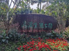-福田红树林生态公园