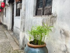 -张家港凤凰山景区恬庄古街
