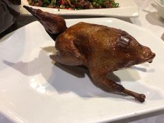 -琬苑鸽庄·川粤融合菜(解放碑总店)