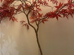 -有茶空间(万科金色半山店)