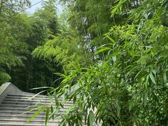 -紫金山索道-售票处