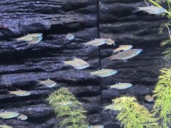 -上海海洋水族馆