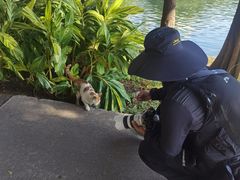 -晓港公园