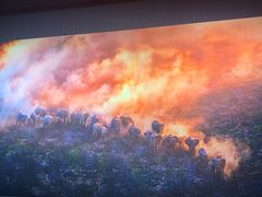 -罗红摄影艺术馆