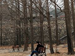 -阳台山自然风景区