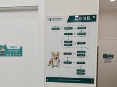 -瑞派康怡24h宠物医院·犬猫医疗中心·微创绝育(瑞景分院)