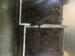 -金丹酱板鸭营业厅(紫缘路店)