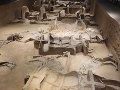 -洛阳周王城天子驾六博物馆