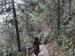 -藏龙百瀑风景区