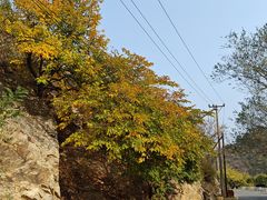 -金龙寺国家森林公园