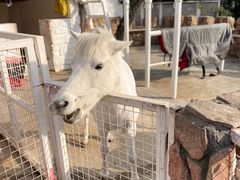 -金庭庄园酒店-停车场