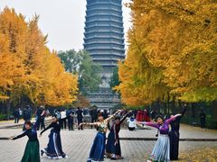 -玲珑塔公园
