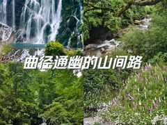 -瓦屋山景区