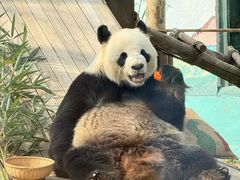 -临沂动植物园