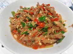 鸭掌筋-壹盏灯(惠农店)