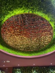 -花隐·美芙炫海菲秀皮肤管理中心