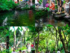 -成都市活水公园