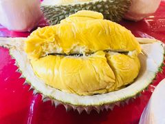 -都念榴莲·城市榴莲