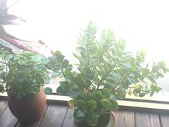 -鲁前海沿儿