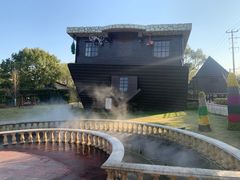 -金山农民画村-枫泾波兰倒置屋