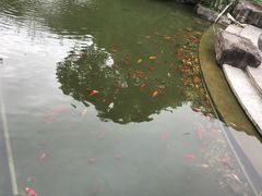 -张江润和国际总部园