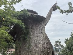 -红山村