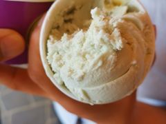 -Dooley's Premium Ice Cream