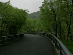 -西湖风景区-江洋畈生态公园