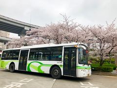 -上海南浦大桥长途旅游客运站