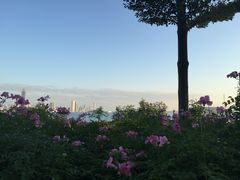 -海沧湾公园