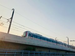 -海堤纪念公园