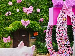 -青岛方特梦幻王国