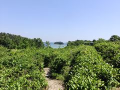 -南湾湖