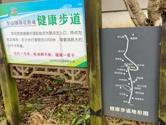 -雨花胜境