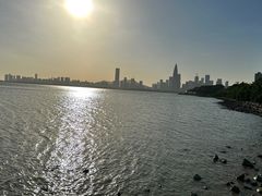 -深圳湾公园(南山区)