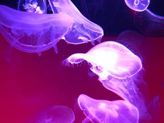 -沈阳海洋探索中心