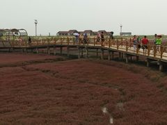 -红海滩国家风景廊道