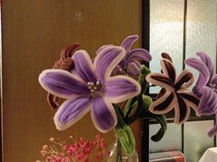 -意卡菲·欢乐聚会餐厅(华侨店)
