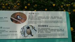 android_upload_pic-上海绿地万豪酒店·大宴会厅