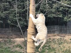 -宁波野生动物园