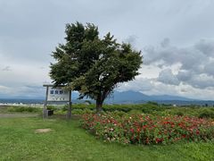 -富田农场