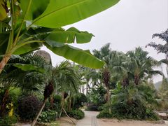 -重庆园博园